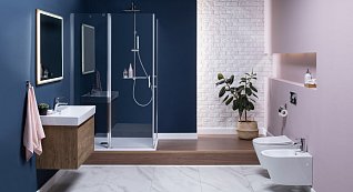Лаконичный интерьер с душевым уголком Лаконичный интерьер с душевым уголком